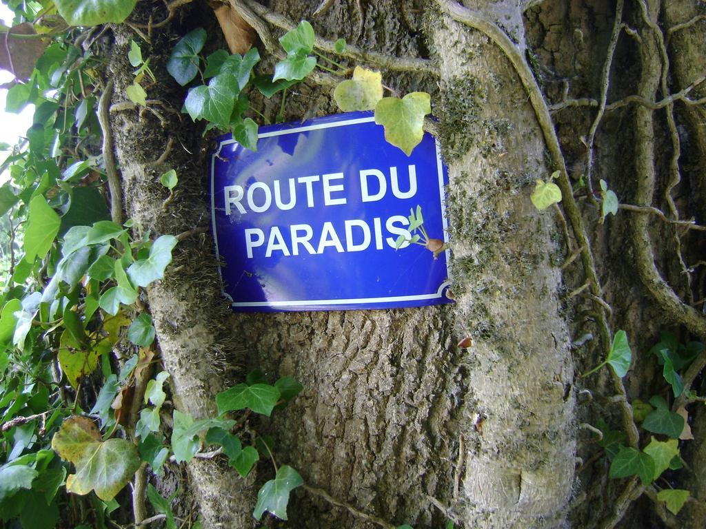 Gite Les Mineurs Zottegem المظهر الخارجي الصورة